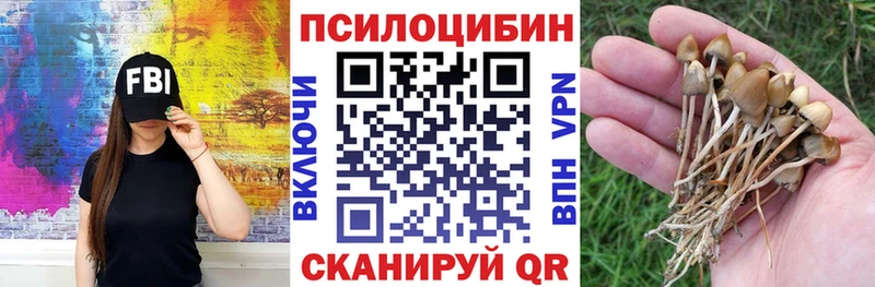 Галлюциногенные грибы Psilocybine cubensis Шагонар